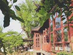 -潘玉麟糖粥