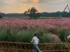 -艾溪湖湿地公园