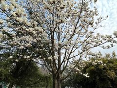 -白塘生态植物园