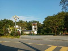 -九龙江国家森林公园