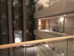 -河源万绿湖美思威尔顿酒店