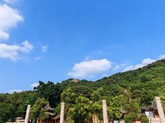 -阳台山森林公园