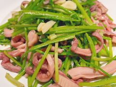 芫爆肚丝-玉林烤鸭店(黄村兴华店)