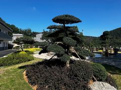 -句容茅山景区