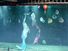 -东台西溪天仙缘景区
