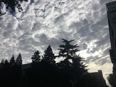 -北京外国语大学东院食堂