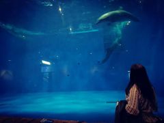 -华夏文旅海洋公园