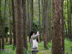 -共青国家森林公园-售票处