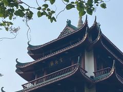 -桂湖森林公园