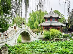 -莲池书院博物馆