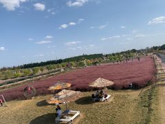 -嘉北郊野公园