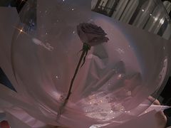 -L'amour澜茉·轻法餐