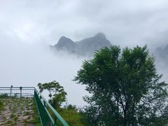 -太行锡崖沟旅游度假区