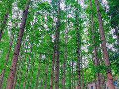 -南京金牛湖风景区