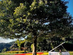 -广州市石门国家森林公园