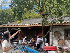 -青城甲(青城山店)