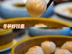 -采蝶轩