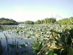 -艾溪湖湿地公园