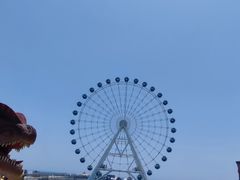 -秦皇岛乐岛海洋王国