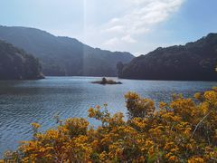-广州市石门国家森林公园