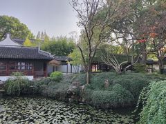 -上海醉白池公园