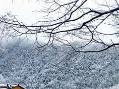-九华山风景区