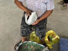 -马陆小张葡萄园农家乐