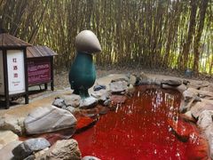 -森波拉火山温泉