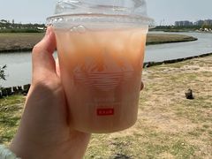 -春花秋色城市公园