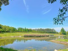 -两河城市森林公园