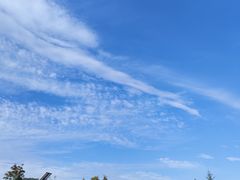 -汤旺河林海奇石景区