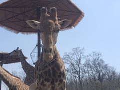 -济南野生动物世界