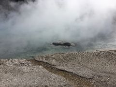 -老忠实间歇泉