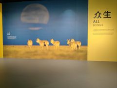 -中国湿地博物馆