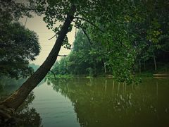 -洨河生态公园