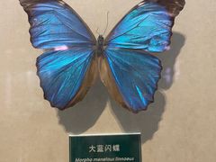 -陕西自然博物馆