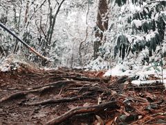 -西湖风景区十里琅珰-五云山
