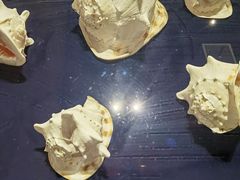 -青岛贝壳博物馆