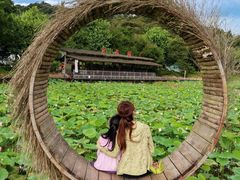 -红山村