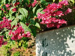 -广州神农草堂中医药博物馆