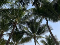 -富国岛翡翠湾 JW 万豪度假酒店