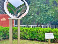 -香港大学