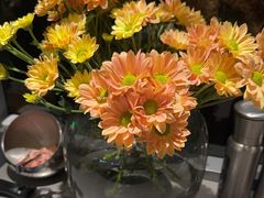 -范儿·嫂子烤肉·精致炭火烤肉(长治路店)