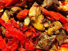 -柴窝堡22号辣子鸡·传承新疆菜