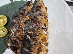 -正苑26年海鲜烤肉•牛尾汤汤饭(东港店)