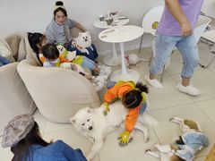 -怪兽屋·羊驼·猫咖·狗咖(俊华广场店)