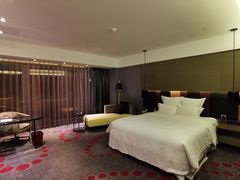 -南京禄口机场雅高铂尔曼大酒店