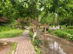 -重庆彩云湖湿地公园