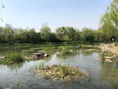 -新江湾城公园