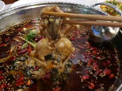 -麻辣巅峰美蛙鱼头火锅(犀浦店)